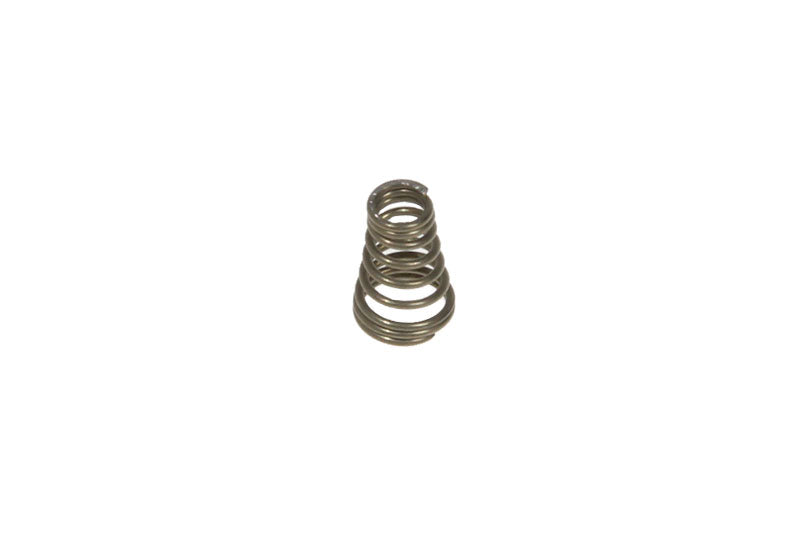 6113211931 - Delonghi - Spring Valve H12 EC