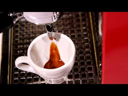 Moca D Espresso Grinder by Olympia Express - 120 Volt